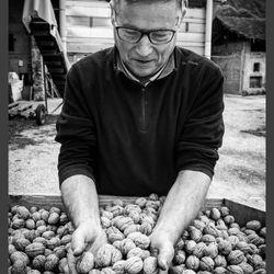 Tout pour profiter de la saison des Noix !