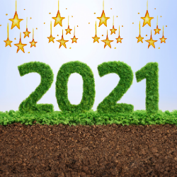 Bonne Année 2021 ! Bonne Année 2021 !