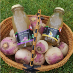 P’tit Navet : pour un jus diététique, bio et végan ! P’tit Navet : pour un jus diététique, bio et végan !