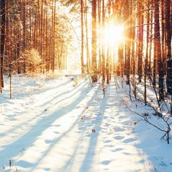 Nos animations en Décembre