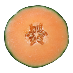 Glace au Melon
