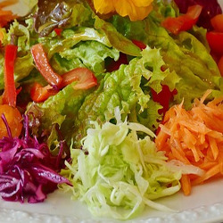 Salade vitaminée de la Rentrée