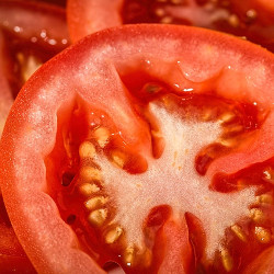 Salade de Blé aux Tomates