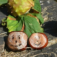 Crème de Marron parfum Potager Crème de Marron parfum Potager
