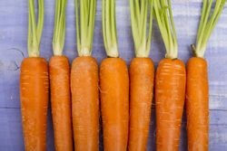 Verrines de veloutés de carotte au curcuma