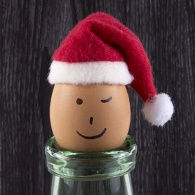 Joyeuses fêtes de Noël en bio ! Joyeuses fêtes de Noël en bio !