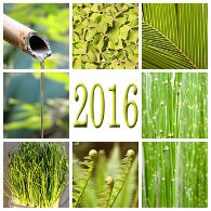 Bonne année 2016 ! Bonne année 2016 !