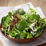 Salade tout en Vert vêtue