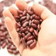 Riz aux Haricots rouges