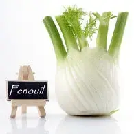 Fenouil et Pamplemousse rose en Salade