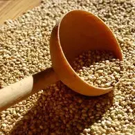 Croquettes de Quinoa