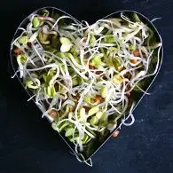 Salade aux Graines germées