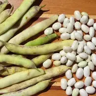 Velouté de Haricots cocos