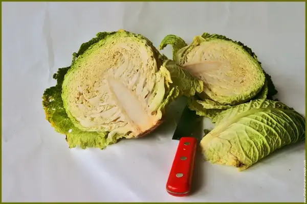 Soupe aux Choux