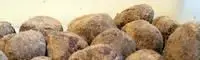Truffes au chocolat