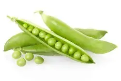 Petits Pois au Lard et au Persil   