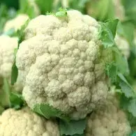 Salade croquante de Pomme et Chou