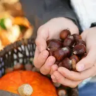 Velouté de Châtaignes et Potimarron