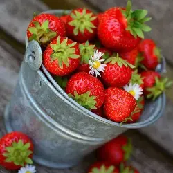 Compote de Pommes Fraises