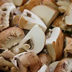 Champignons de Paris crus fourrés au Fromage frais