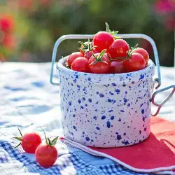 Clafoutis Chèvre & Tomates cerises