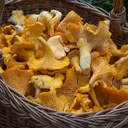 Poêlée de Courge et Champignons