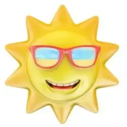 Tarte du Soleil
